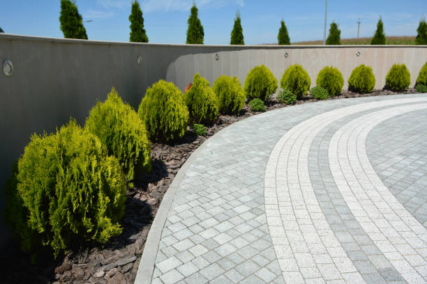 Best Interlocking Driveway Pavers  in Portales, NM