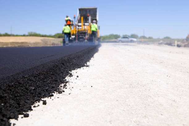 Best Local Driveway Pavers  in Portales, NM