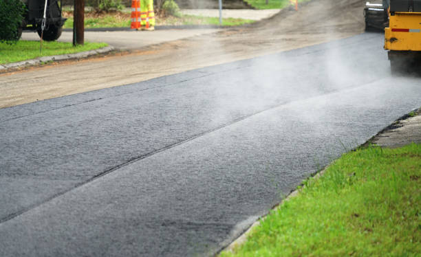 Best Custom Driveway Pavers  in Portales, NM