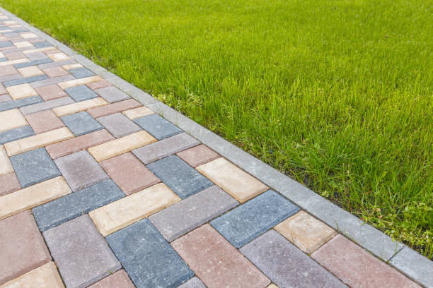 Best Residential Paver Driveway  in Portales, NM
